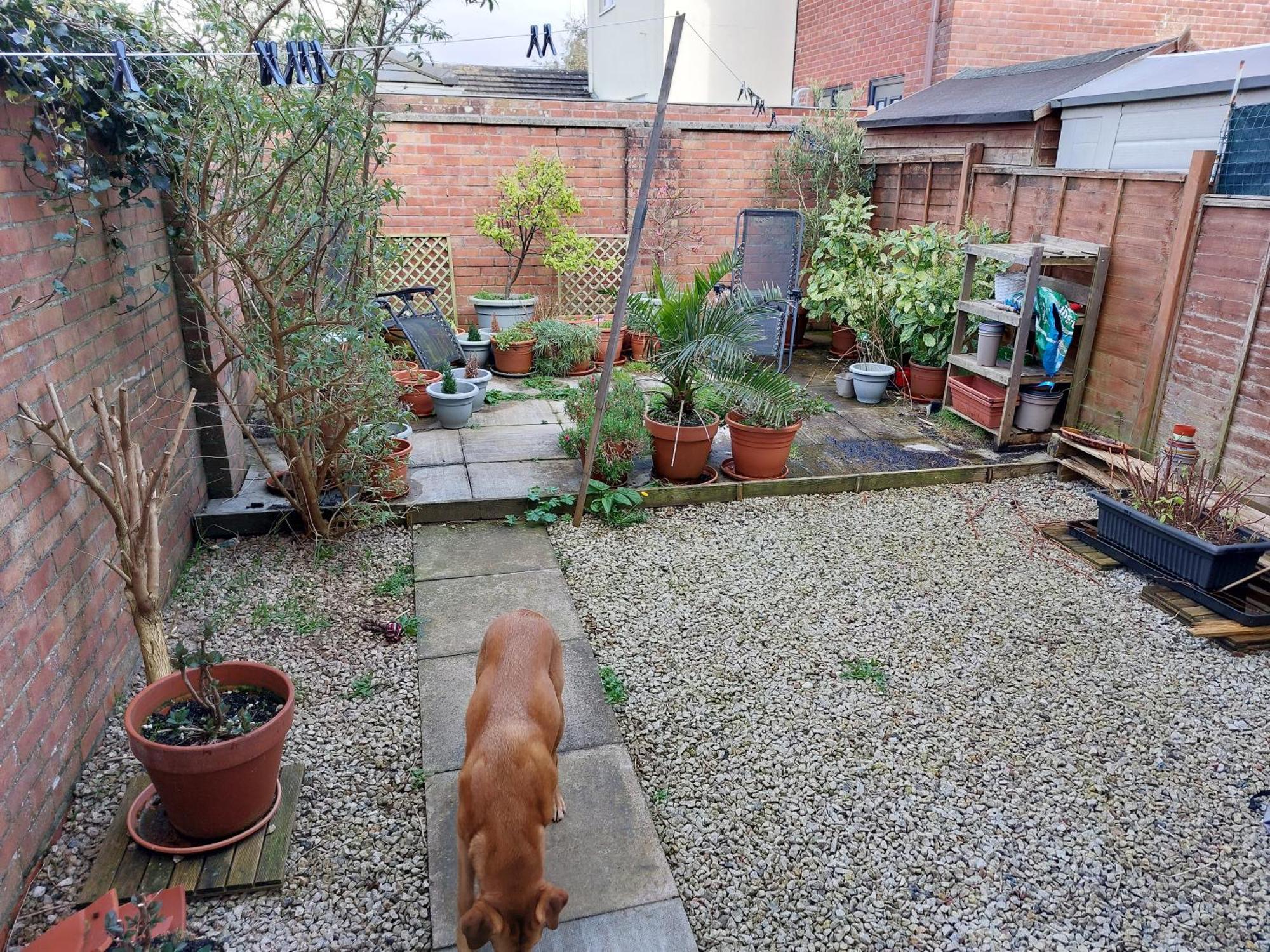 Bude Homestay Stratton  外观 照片